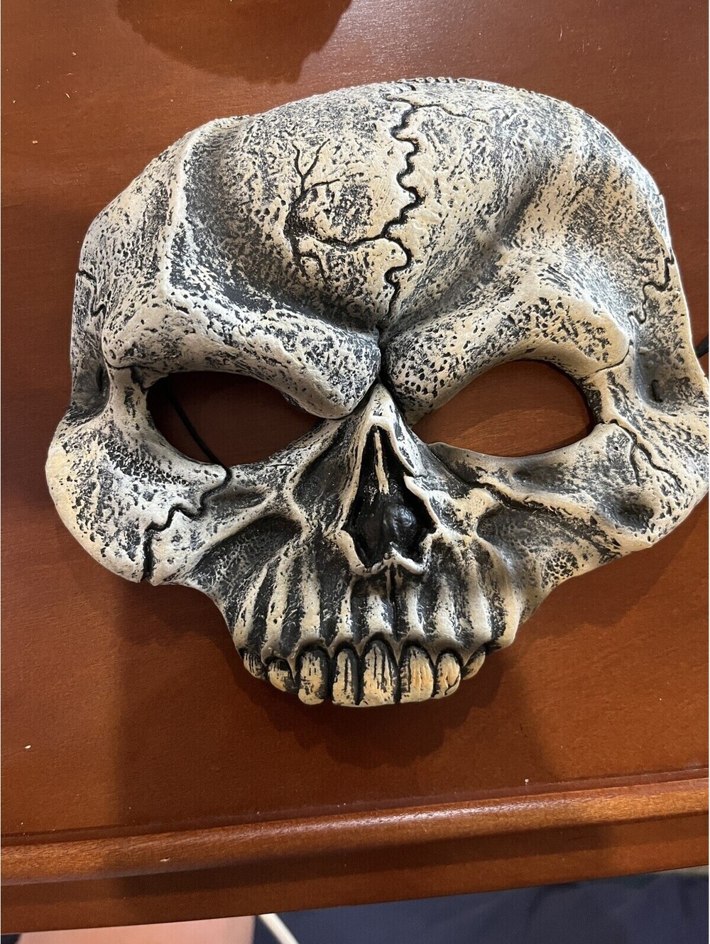 Skull Mask Adult Halloween Costume Accessory Skeleton One Size